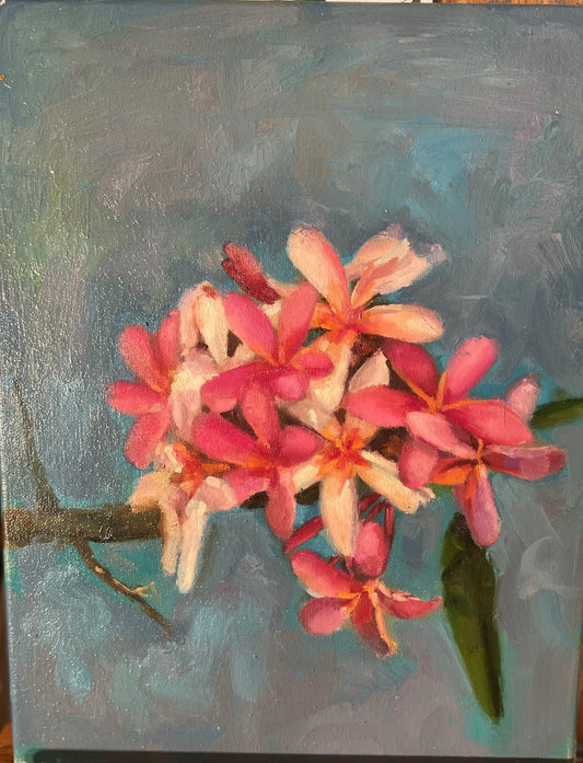 11X14 Hawaiian Plumerias Oil on Canvas